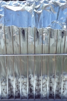 Sterilize beads